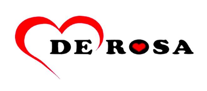 意大利山地車品牌大全FRW輻輪王自行車界一王四后公路車排行榜(圖8)