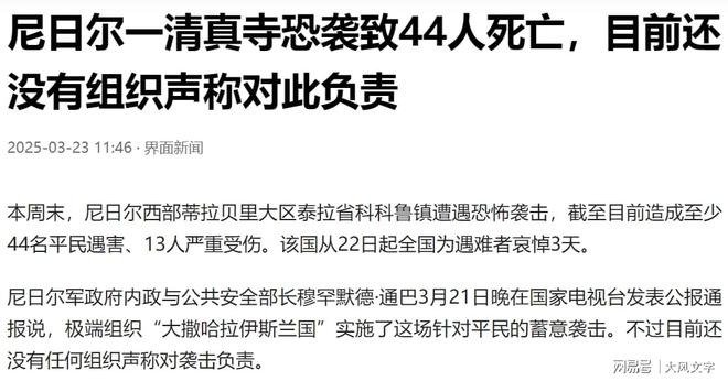 尼日爾：我不制你天也要裁你！清線人死社會秩序崩潰(圖2)