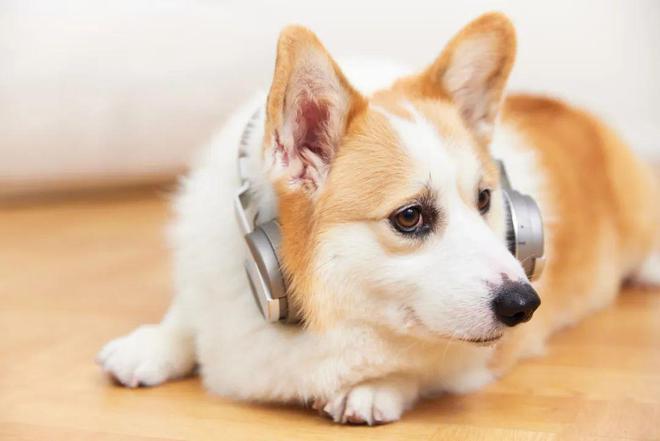 朋友圈很火的16個幽默段子哈哈一笑煩惱全消(圖2)