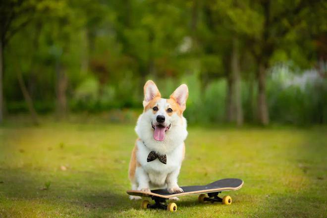 朋友圈很火的16個幽默段子哈哈一笑煩惱全消(圖3)