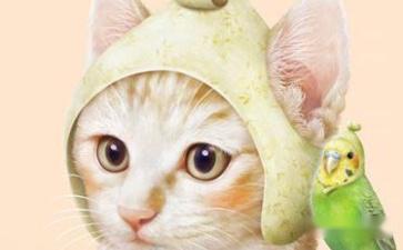 讓人秒笑的笑話簡短(圖5)