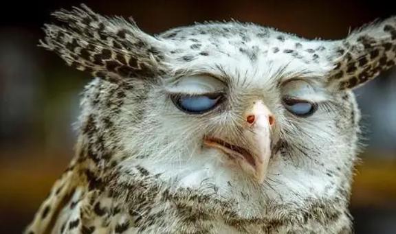 2022年經(jīng)典笑話一籮筐總有一則逗笑你