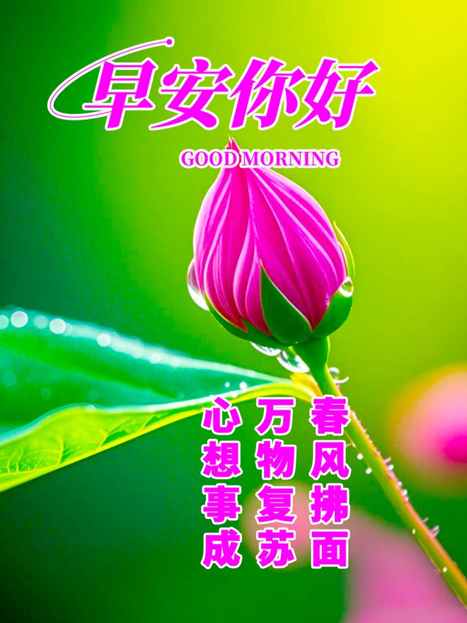 九游娛樂NineGame：讓自己內心變強大的正能量語錄哪一句觸動了你的心