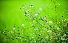 爆笑：老婆，這輩子太短了