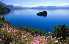 已把所有東西裝滿水！結果媳婦說看錯了，是停電一天