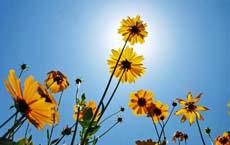 逗B祝高考生們:考的都會,會的都對!