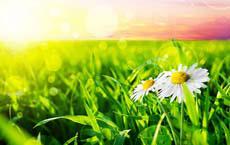 爆笑尬事一樁又一樁