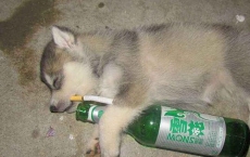 開心一刻幽默笑話大全