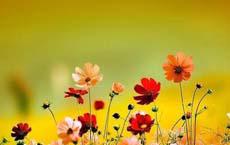 三國演義就是一群縱火犯的戰爭史