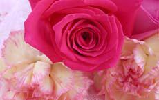 帶著斧子去集市買圣誕樹