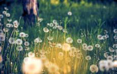 保險柜鑰匙放在敞開的抽屜