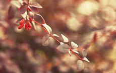 鄰居真的很過分