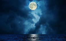 如果莎士比亞現(xiàn)在還活著