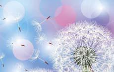 車禍后是在病房還是監(jiān)獄