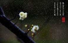 最危險(xiǎn)關(guān)頭如何克服恐慌