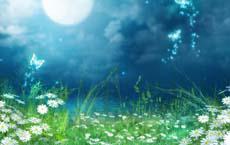 這么好的媳婦說(shuō)不要就不要了