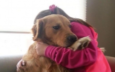 關于校園文明的搞笑段子