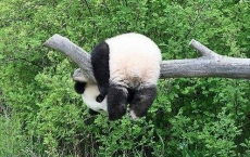 校園幽默搞笑的段子