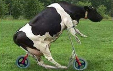 大學(xué)校園相聲搞笑段子