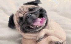 搞笑的大學(xué)校園故事