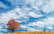 學校里的搞笑趣事 爆笑學子